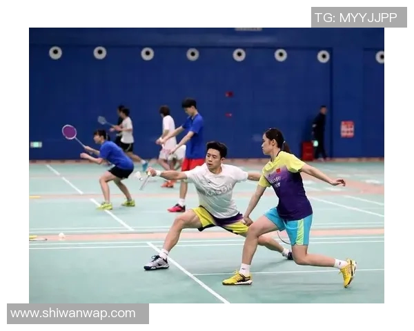 南京羽毛球队的深度解析与控制策略探秘 南京羽毛球队的深度解析与控制策略探秘