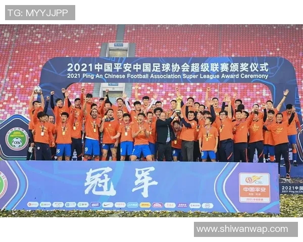 南京足球队球员个人能力深度对比与分析探讨