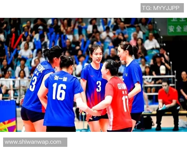 成都排球队的实力揭秘排球巨献背后的故事与荣耀